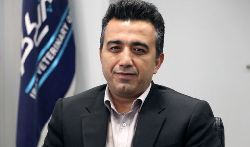 صادرات ۵۷۴ تن محصولات خام دامی قزوین به ۱۰ کشور اروپایی و آسیایی