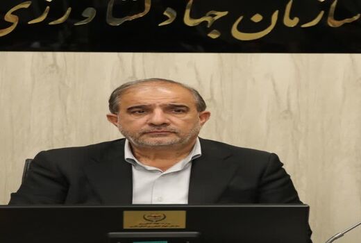 ضرورت برندسازی و صادرات محور کردن صنعت زنبورداری