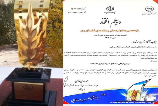 کسب تندیس، دیپلم افتخار وجایزه برتر تولید موشن‌گرافی کشور 
