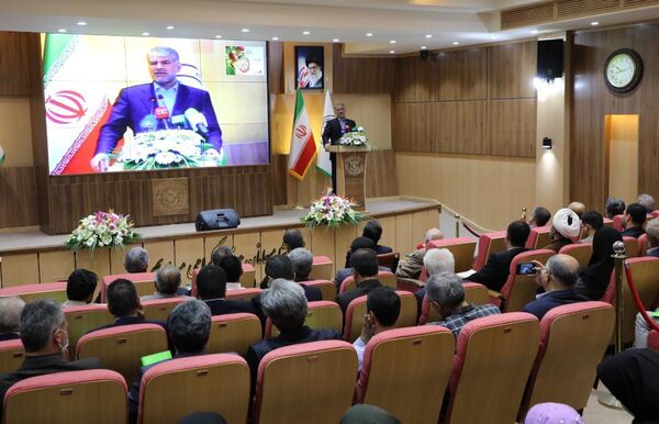 عزم ایران برای بازگشت به جایگاه نخست تولید پسته در جهان