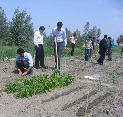 توسعه پایدار کشور از توسعه روستا آغاز می‌شود/ با امکانات و بودجه‌ فعلی تنها دو درصد روستاییان آموزش می‌بینند/ با حذف کشاورزی و دامداری از روستا گردشگری روستا نیز حذف می‌شود