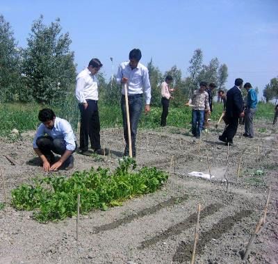 توسعه پایدار کشور از توسعه روستا آغاز می‌شود/ با امکانات و بودجه‌ فعلی تنها دو درصد روستاییان آموزش می‌بینند/ با حذف کشاورزی و دامداری از روستا گردشگری روستا نیز حذف می‌شود