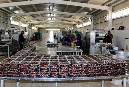 توسعه صنایع تبدیلی در بوشهر