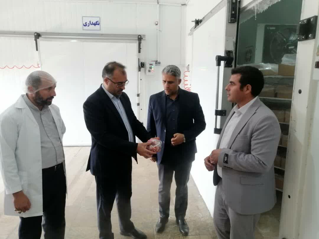 سه طرح صنایع تبدیلی کشاورزی در باروق؛ گامی تازه برای توسعه صنایع تبدیلی و اشتغال