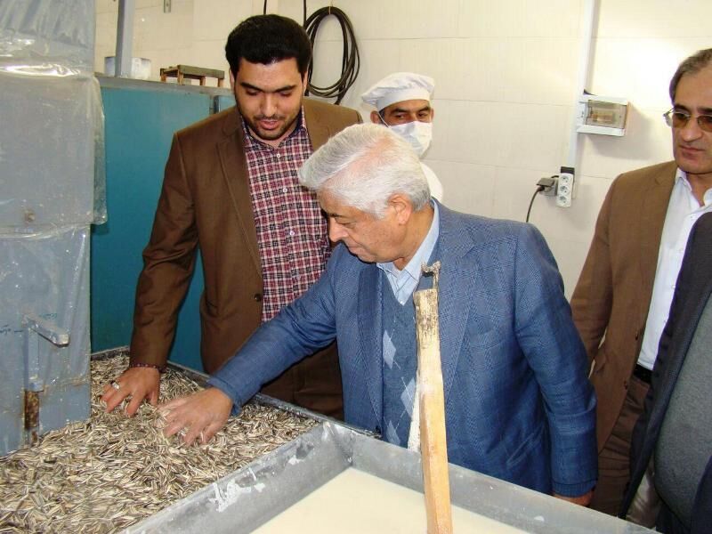 هیچ بذر تجاری تراریخته‌ای در کشور وجود ندارد/ تدارکات لازم برای تأمین میوه شب عید انجام گرفته است