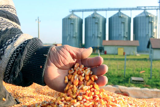 افزایش بهره‌وری اولویت مشترک دولت و تولیدکنندگان است/ لزوم بهره‌گیری از تجربه کشورهای هم‌اقلیم