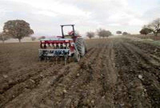 نظام کشت دستوری نیست