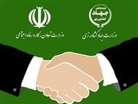 اجرای برنامه اشتغال فراگیر و طرح کارورزی در بخش کشاورزی