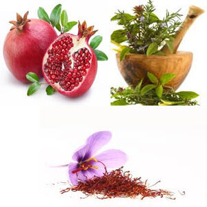 اجرای سایت های خرده مالک روستایی تولیدات کشاورزی ارگانیک در خراسان رضوی