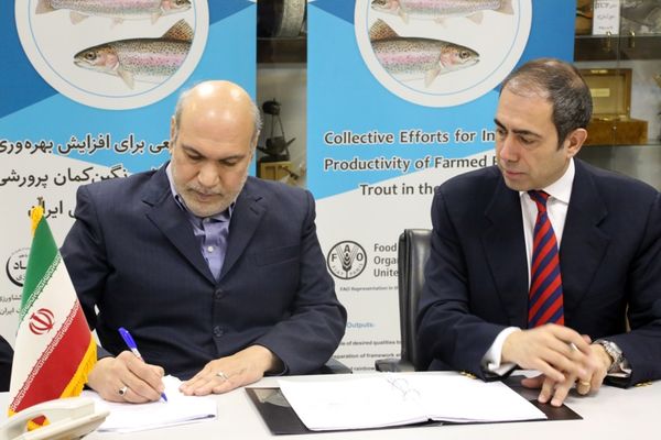 پروژه ژنتیکی قزل‌آلای رنگین‌کمان به امضا رسید/ ایران از واردات تخم چشم زده بی نیاز می شود