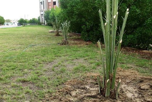 134 میلیارد تومان به طرح‌های اشتغالزایی روستایی