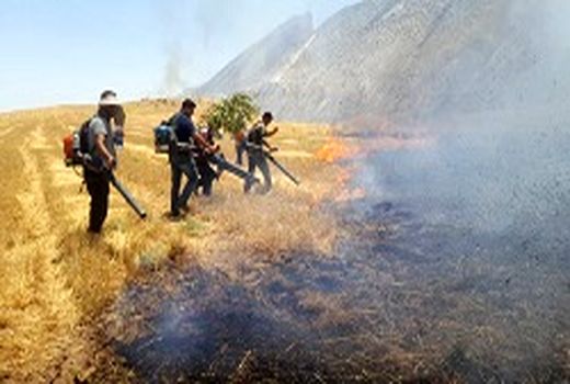 بیش از ۱۰۰ هکتار از پس چرای مزارع کشاورزان روستای شیخ‌مکان طعمه حریق شد