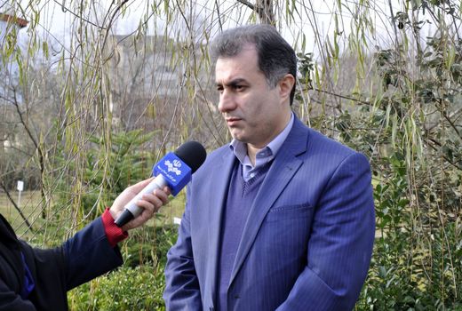 مرغ سایز از تولیدکنندگان خریداری می‌شود