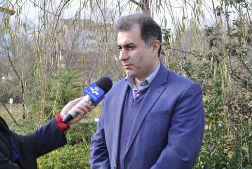 مرغ سایز از تولیدکنندگان خریداری می‌شود