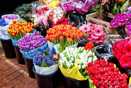 صادرات  40 میلیون دلاری گل و گیاهان زینتی ایران