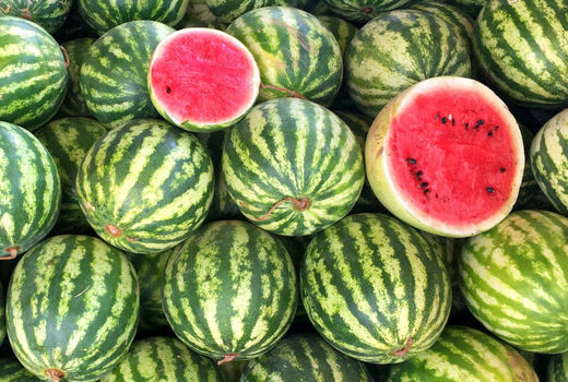 آغاز کشت بهاره هندوانه از اوسط تیر در خوزستان