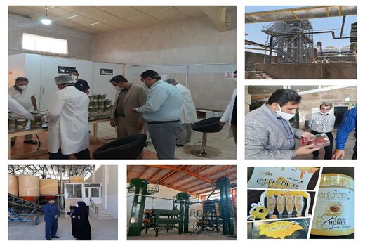 ایجاد و فعال‌سازی ۱۵۰هزار تن ظرفیت جدید فراوری محصولات کشاورزی طی ۴ماهه ابتدای سال