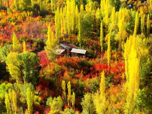 معجزه‌ی پاییز را فقط در این 4 نقطه‌ی ایران ببینید