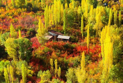 معجزه‌ی پاییز را فقط در این 4 نقطه‌ی ایران ببینید