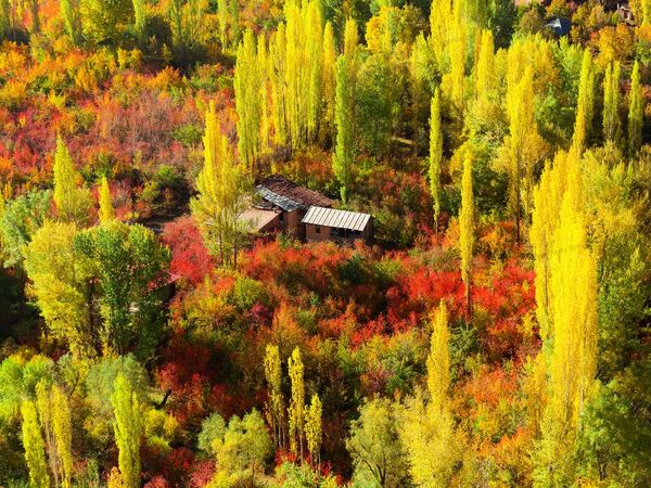 معجزه‌ی پاییز را فقط در این 4 نقطه‌ی ایران ببینید