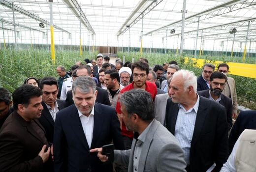 وزیر جهاد کشاورزی از یک واحد بزرگ گلخانه هیدروپونیک در دامغان بازدید کرد