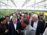 وزیر جهاد کشاورزی از یک واحد بزرگ گلخانه هیدروپونیک در دامغان بازدید کرد