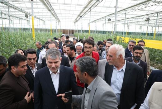 وزیر جهاد کشاورزی از یک واحد بزرگ گلخانه هیدروپونیک در دامغان بازدید کرد