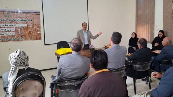  مدیریت تلفیقی «زنگ زرد» کلید کاهش خلأ عملکرد گندم در هویزه است