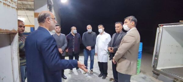 تعطیلی کشتارگاه های مرغ در ایلام ممنوع است