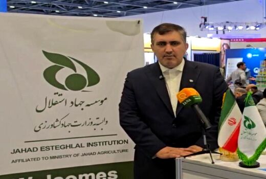 کشاورزی فراسرزمینی در قزاقستان در تأمین پایدار کالاهای اساسی موثر است 