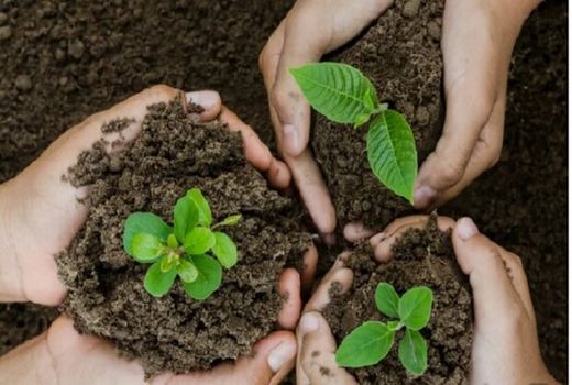 برگزاری دومین نمایشگاه کشاورزی ۱۴۰۰  خوزستان