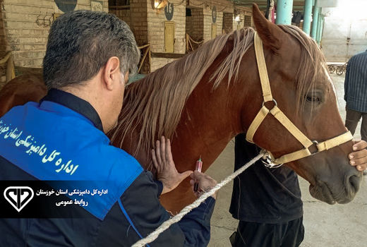 عاری بودن خوزستان از بیماری مشمشه در طی پنج سال اخیر