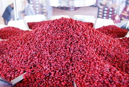 عرضه مستقیم زرشک در میادین میوه و تره بار تهران 