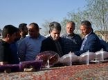 زغال‌اخته؛ محصول استراتژیک ارسباران با ارزش افزوده سه‌برابری نسبت به محصول خام