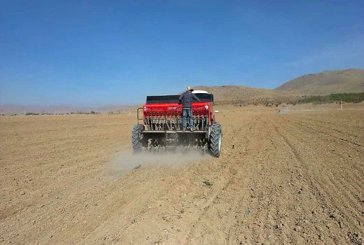 کشت محصولات پاییزه در شهرستان شهرکرد پایان یافت 