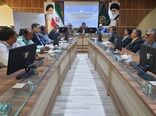 حمایت از دامداران در امر قیمت گذاری خرید دام زنده استان
