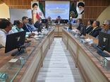حمایت از دامداران در امر قیمت گذاری خرید دام زنده استان