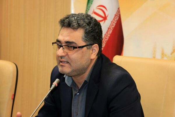 بیش از ۲۲ هزار تن بذر گندم اصلاح شده در کردستان تولید می شود