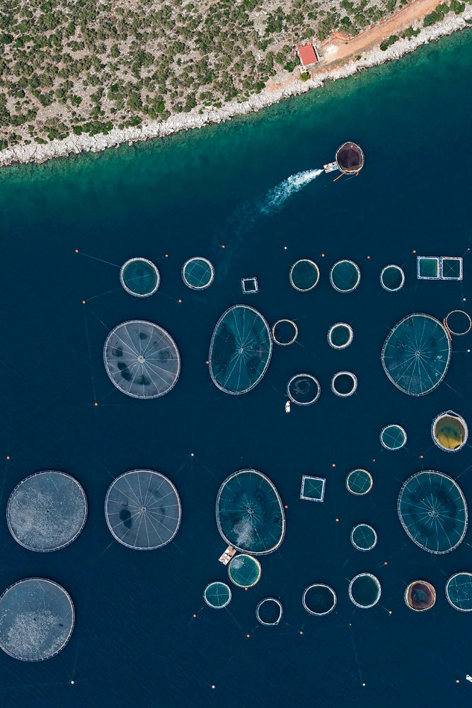 مشاهدات هوايی مزارع ماهی