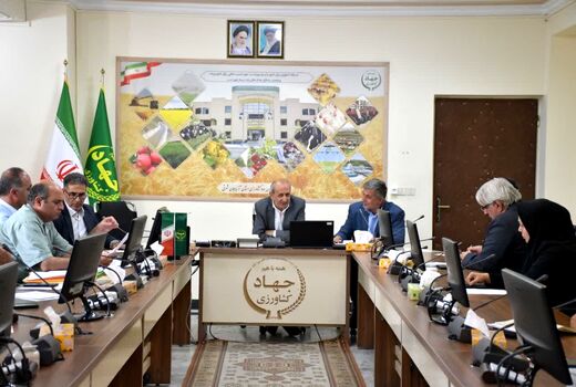 لزوم فرهنگ‌سازی برای استفاده از بذرهای اصلاح‌شده