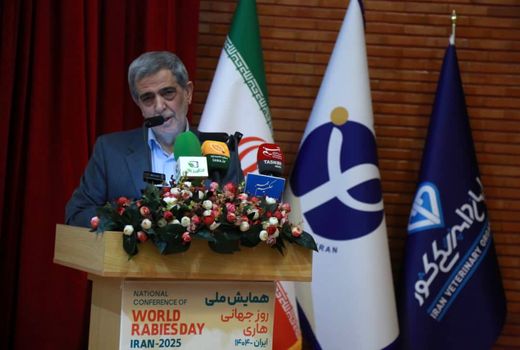 ضرورت آموزش صاحبان حیوانات و مردم در برابر هاری/ رفتار با سگ‌ها مسئله سلامت عمومی است