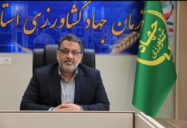 توسعه گلخانه‌های مدرن از اهداف سند تحولی یزد نوین 