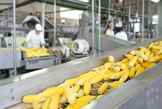 افزایش میلیاردرهای صنعت غذا به دنبال رشد سوء تغذیه در جهان