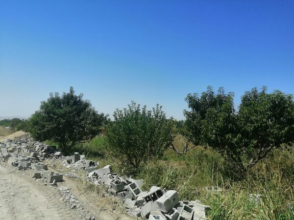 آزاد سازی ۱۲.۶ هکتار از اراضی باغی تغییر کاربری یافته در شهرستان ارومیه  
