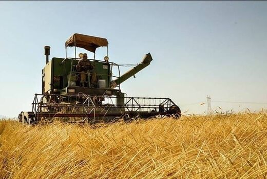 برداشت مکانیزه 91 درصد از سطوح غلات چهارمحال و بختیاری 