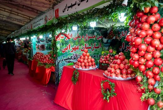 رفع چالش‌های زنجیره تولید و صادرات انار روی میز وزارت جهاد کشاورزی