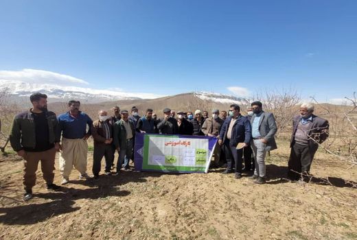 برگزاری کارگاه آموزشی، مهارتی تغذیه باغات در شهرستان کیار