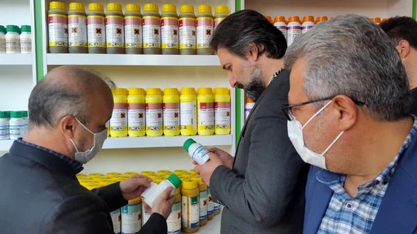 اجرای دومین مانور مقابله با عرضه آفت کشهای تقلبی و غیر مجار در آذربایجان غربی همزمان با سراسر کشور