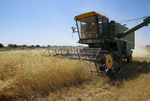 کمبود سوخت، تیغ کمباین‌ها را در یزد کند کرد