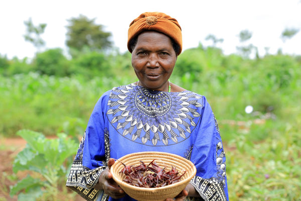 تنوع زیستی در مزارع اوگاندا